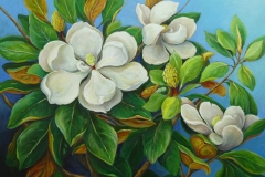 Magnolia Grandiflora_Oil on canvas