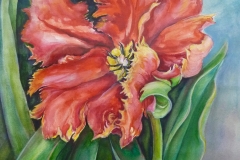 Parrot Tulip_watercolor