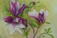 Purple Magnolia_watercolor